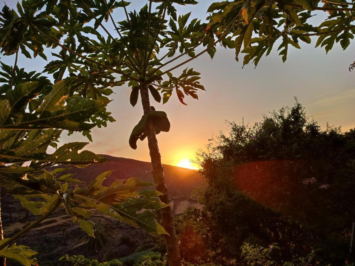 Casa Rural La Vega Alojera Εξωτερικό φωτογραφία