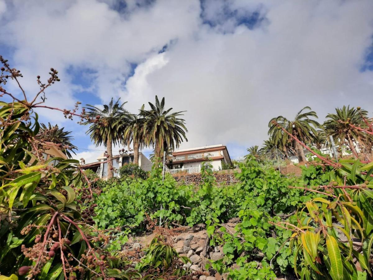 Casa Rural La Vega Alojera Εξωτερικό φωτογραφία