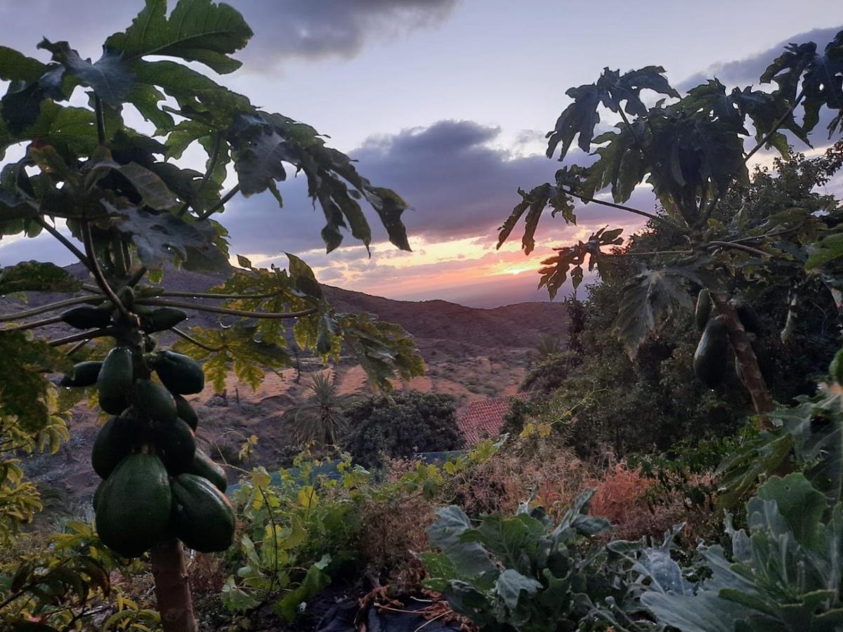 Casa Rural La Vega Alojera Εξωτερικό φωτογραφία