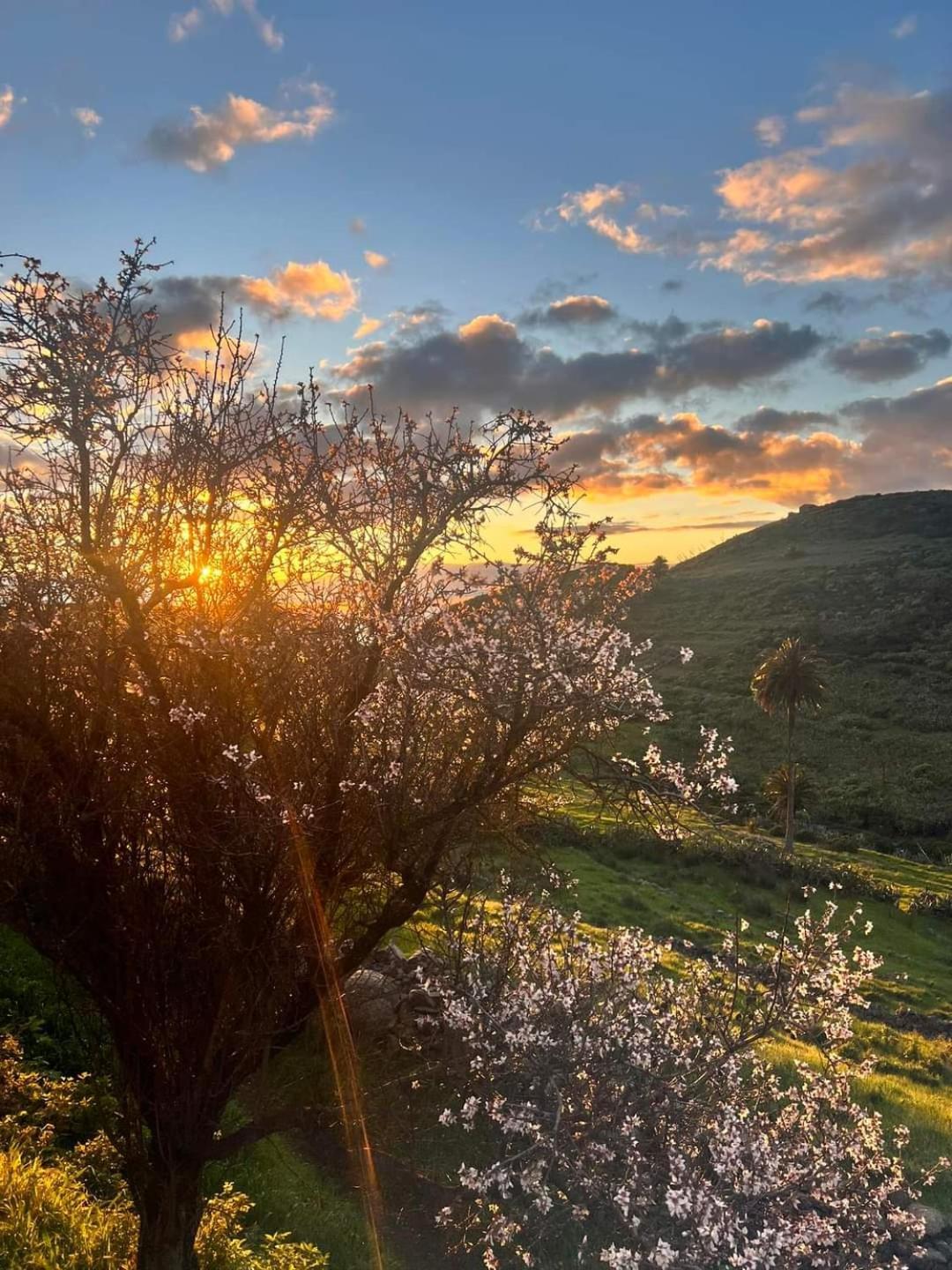 Casa Rural La Vega Alojera Εξωτερικό φωτογραφία
